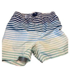 Rugged butts 4t blue striped swim trunks